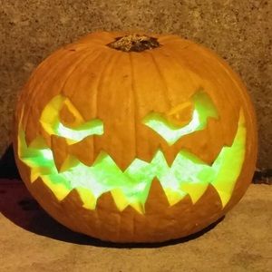 Meet your Posher, Thomas